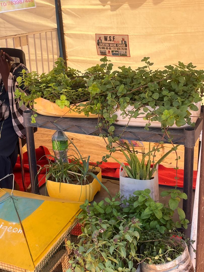 72 heures de gouvernance locale